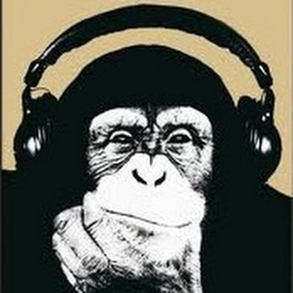 Meet your Posher, Chad - Picture 1 of 1